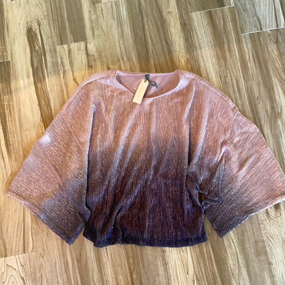 NWT Anthropologie shimmer ombré top